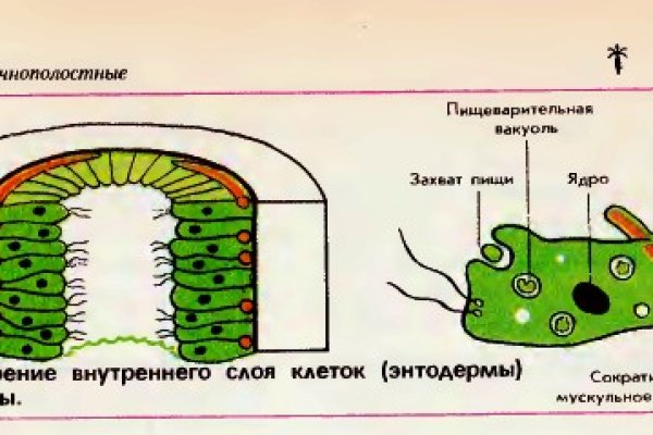 Кракен новое зеркало