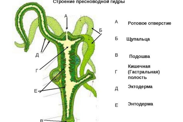 Кракен адрес тор