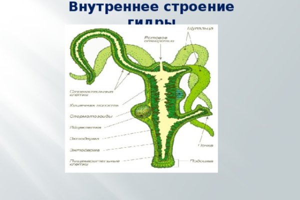 Кракен даркнет 2krnmarket